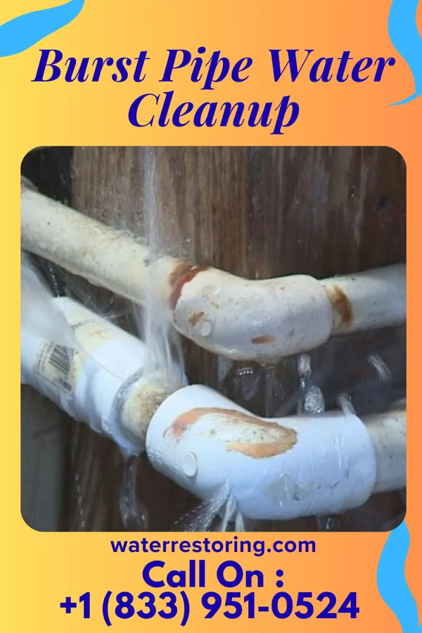 Burst Pipe Water Cleanup in El Paso, IL