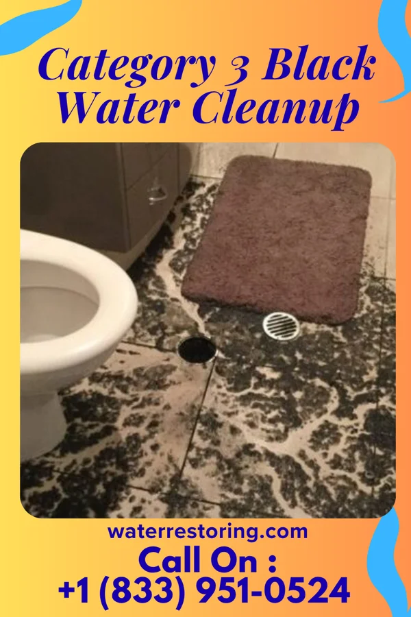 Category 3 Black Water Cleanup in El Paso, IL