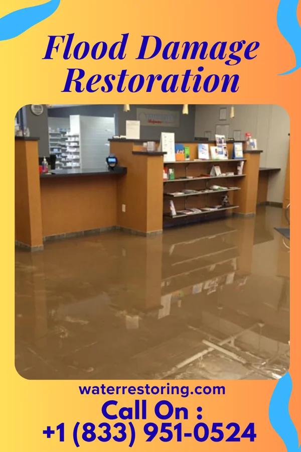 Flood Damage Restoration in El Paso, IL