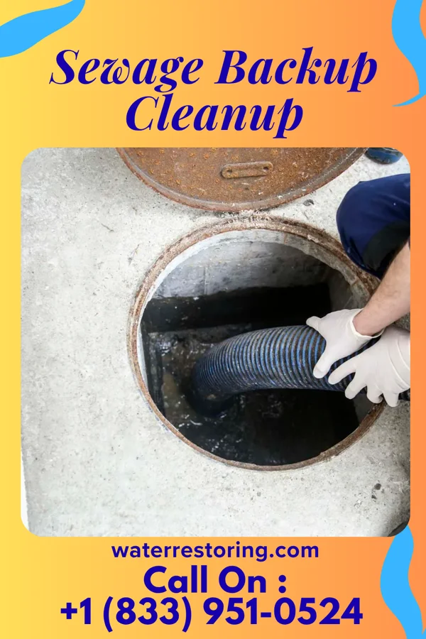 Sewage Backup Cleanup in El Paso, IL