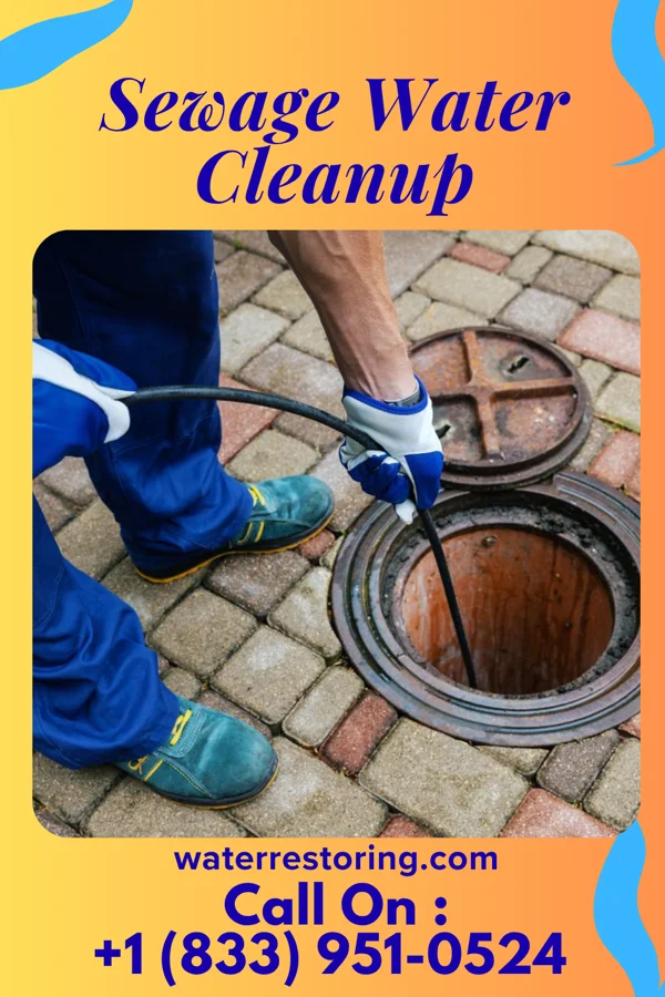Sewage Water Cleanup in El Paso, IL