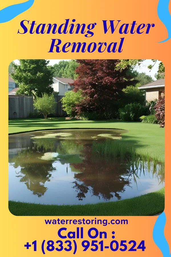 Standing Water Removal in El Paso, IL